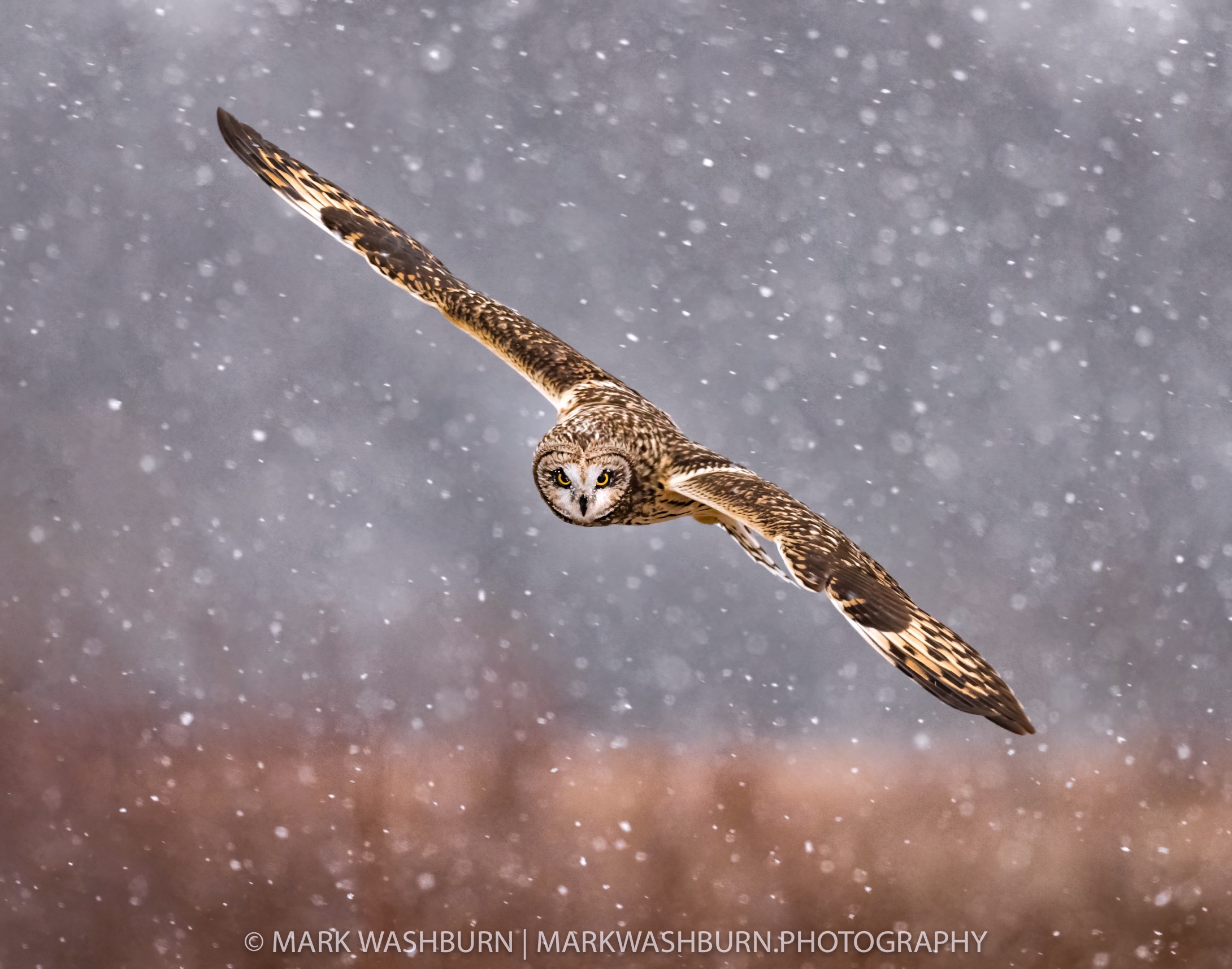 seo-snowfall-7.jpg seo-snowfall-7.jpg