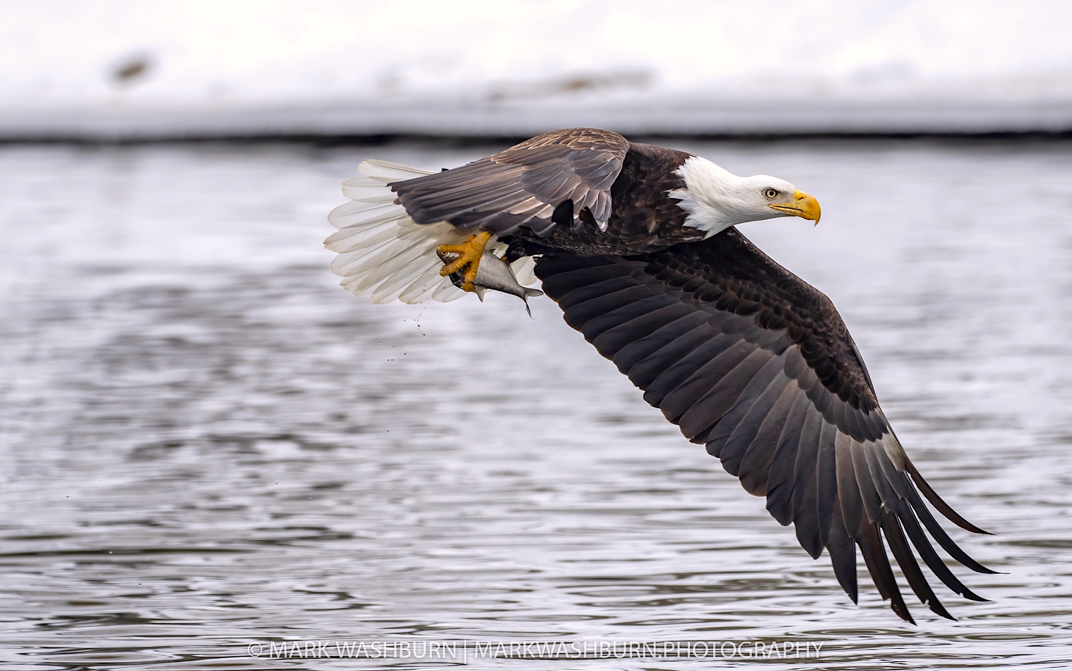 eagle-tailwater.jpg
