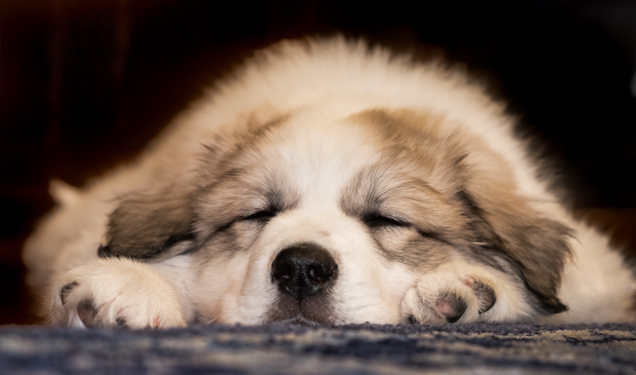 Okie nap