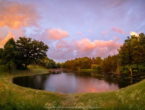 heron-pond-rain-2