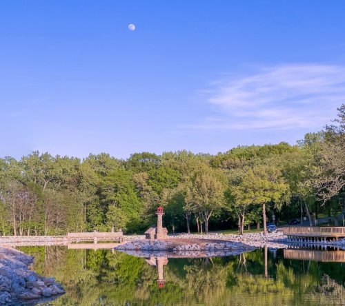 weed-park-pond-25