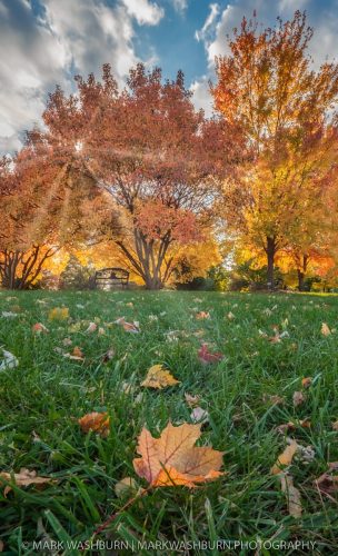 fall-discovery-park